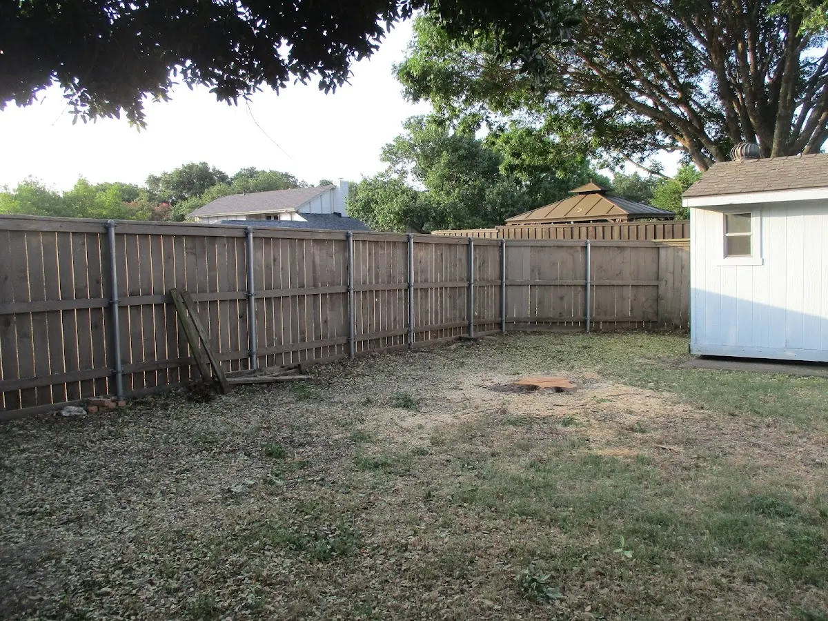 Cleared yard after professional tree removal in Mont Clare
